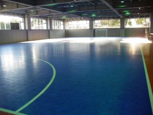 sabarena