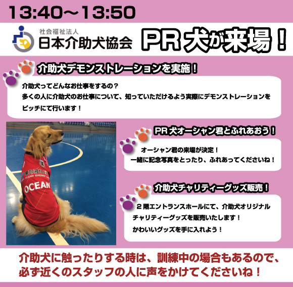 介助犬