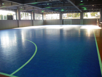 sabarena