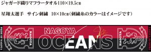 20211225マフラータオルデザイン